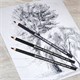 Карандаши (НАБОР 12 штук) угольные BRAUBERG ART CLASSIC, (МЯГКИЙ, СРЕДНИЙ, ТВЕРДЫЙ), 181293 181293