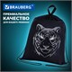 Мешок для обуви BRAUBERG, с петлёй, карман на молнии, 47х37 см, "Tiger", 271610 271610