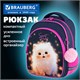 Рюкзак BRAUBERG OPTIMA, 2 отделения, с брелоком, "Tiny beauty", 36х27х18 см, 273155 273155