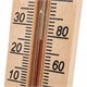 Термометр комнатный, "ДЕРЕВЯННЫЙ", диапазон: от 0 до +50 °C, ПТЗ, ТБ-206 671373