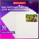 Листы для фотоальбома магнитные 30х32 см, КОМПЛЕКТ 10 шт., BRAUBERG, 391313 391313