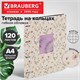 Тетрадь на кольцах БОЛЬШАЯ А4, 240х310 мм, 120 л., под кожу, BRAUBERG VISTA, "Пастельные цветы", 405204 405204