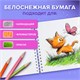Альбом для рисования, пластиковая обложка, А4, 40 л., гребень, BRAUBERG, 210х297 мм, АССОРТИ-1 (8 видов), 107682 107682