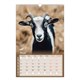 Календарь на гребне с ригелем 2027 г., 30x45 см, BRAUBERG, "Символ года", 118384 118384