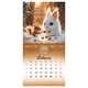 Календарь настенный перекидной 2027 г., BRAUBERG, 12 листов, 21,4х42,8 см, МИНИ, "Magic animals", 118431 118431