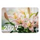 Календарь карманный на 2027 г, BRAUBERG, 64х93 мм, АССОРТИ, 20 дизайнов (60 штук), 118489 118489